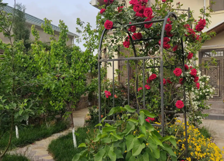 Продаю дом, 170 м2, село Черешня, Владимировская улица, 18