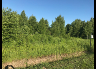 Продам участок, 23 сот., СНТ Незабудкино, СНТ Незабудкино, 389