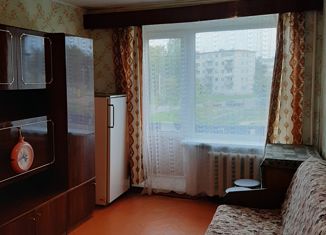 Сдам в аренду двухкомнатную квартиру, 42.5 м2, Ленинградская область, Свекловичный переулок, 9
