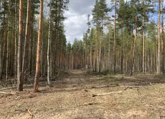 Участок на продажу, 10 сот., село Алеканово