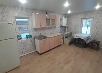 Дом на продажу, 67 м2, село Тирлянский, Советская улица, 153