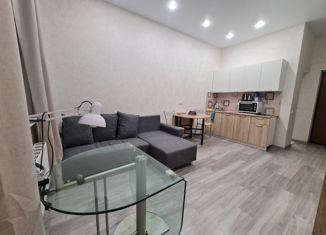 Продаю квартиру студию, 24 м2, село Краевско-Армянское, Измайловская улица, 20А