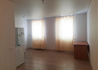 Продаю 1-комнатную квартиру, 26 м2, посёлок Красное Поле, улица Авиаторов, 5А