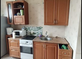 1-ком. квартира на продажу, 33.4 м2, деревня Ирдоматка, Новая улица, 58