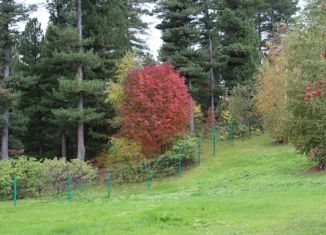 Продается участок, 15 сот., деревня Губино, Центральная улица, 35