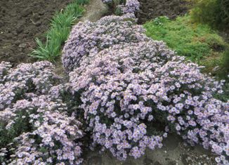 Продам таунхаус, 48 м2, поселок Широчанка, Ейская улица