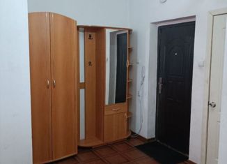 Квартира в аренду студия, 33.3 м2, Минусинск, улица Трегубенко, 57