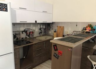 Сдам квартиру студию, 32 м2, Екатеринбург, Хрустальногорская улица, 88, ЖК Рио