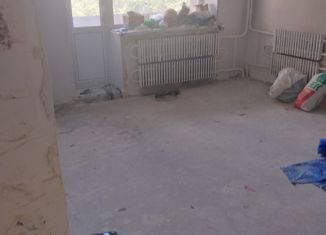 Продается двухкомнатная квартира, 50 м2, Нижний Новгород, Южное шоссе, 39, метро Парк Культуры