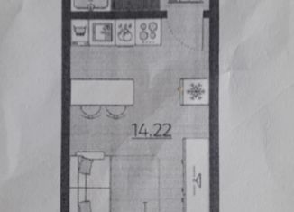 Квартира на продажу студия, 20.1 м2, Санкт-Петербург, метро Гражданский проспект
