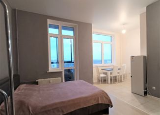 Продажа 1-комнатной квартиры, 29.6 м2, поселение Рязановское, Рязановское шоссе, 31к2