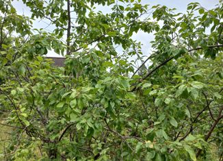 Продажа земельного участка, 9.5 сот., садоводческий массив Радофинниково, 4-я линия