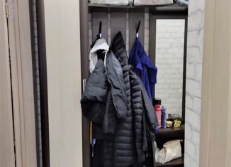 Продаю 1-ком. квартиру, 41 м2, село Толмачево, Трудовая улица, 13Б