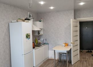 Продажа квартиры студии, 25 м2, село Михайловка, Сливовая улица, 2/1