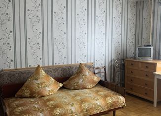 Продается 1-комнатная квартира, 28.3 м2, Ижевск, Восточная улица, 40, Центральный жилой район