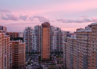 Продается 1-ком. квартира, 33.9 м2, Санкт-Петербург, Кушелевская дорога, 7к4, метро Площадь Мужества