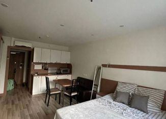 Продам квартиру студию, 28.5 м2, Санкт-Петербург, улица Хошимина, 16А, улица Хошимина