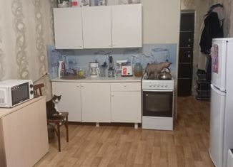 Продается квартира студия, 23 м2, Кемерово, улица Халтурина, 23, Кировский район