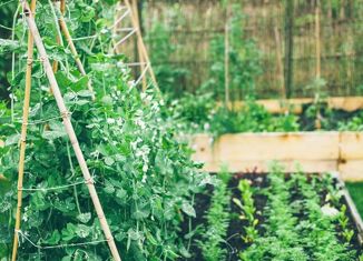 Продажа земельного участка, 6 сот., Сургут, Центральная улица