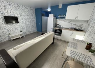 Продается квартира студия, 25.1 м2, Уфа, улица Архитектора Калимуллина, 1, ЖК Яркий