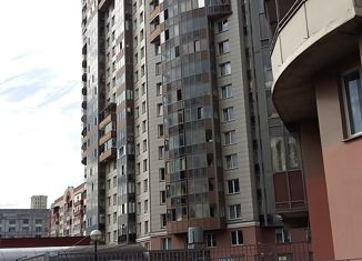Сдается однокомнатная квартира, 46 м2, Санкт-Петербург, проспект Просвещения, 99, метро Гражданский проспект