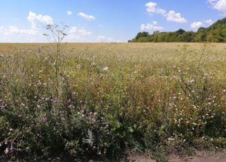 Продажа земельного участка, 15 сот., село Малая Валяевка, Центральная улица, 138