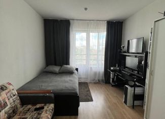 Продам квартиру студию, 25.3 м2, Мурино, Воронцовский бульвар, 6, ЖК Гринландия