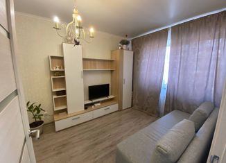 Продажа 1-ком. квартиры, 28.2 м2, село Новое Шигалеево, улица Габдуллы Тукая, 22
