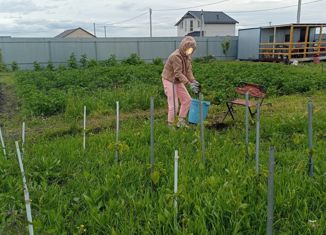 Продам земельный участок, 11.81 сот., поселок Кисегачинский