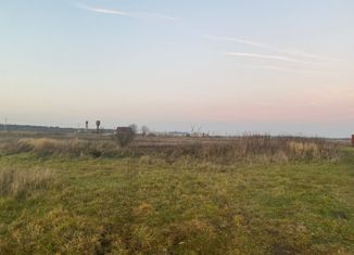 Продаю участок, 10 сот., деревня Скворицы, деревня Скворицы, 26