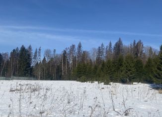 Продам участок, 15 сот., деревня Вышегород, деревня Вышегород, 302