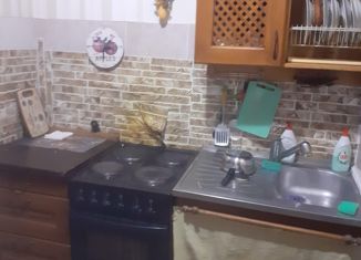 Сдается 1-комнатная квартира, 30 м2, Екатеринбург, улица Красина, 7, улица Красина