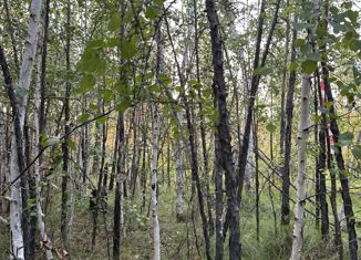 Продаю земельный участок, 12 сот., посёлок городского типа Нижний Бестях