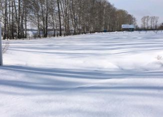 Продается участок, 20.69 сот., село Новые Бишинды, Берёзовая улица
