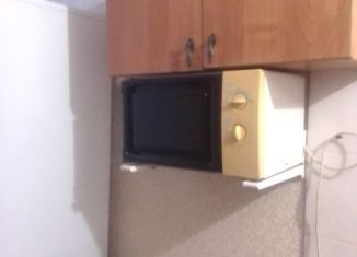 Сдам в аренду квартиру студию, 15 м2, Красноярск, улица Воронова, 45, Советский район