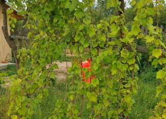 Продается дом, 20 м2, Марий Эл, 10-й квартал, 11