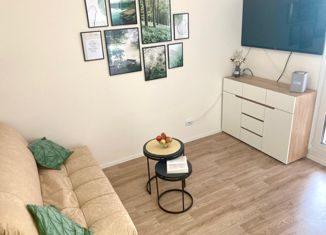 Продаю однокомнатную квартиру, 25 м2, Санкт-Петербург, ЖК Ручьи, Северный проспект, 123к1