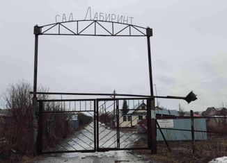 Продается дом, 40 м2, СНТ Лабиринт