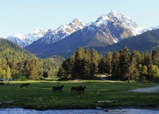 Продам земельный участок, 13.7 сот., село Архыз