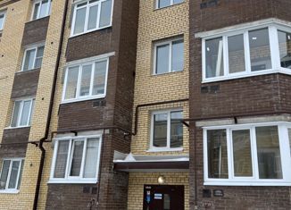 Продается 1-ком. квартира, 49 м2, Новомосковск, улица Трудовые Резервы, 57к1, ЖК Прибрежный