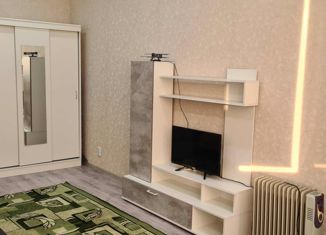 Сдам однокомнатную квартиру, 44.1 м2, посёлок Российский, 2-я Тверская улица, 2