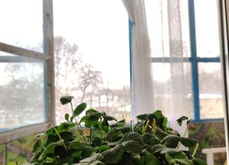 Продам 1-комнатную квартиру, 29.1 м2, Елизово, улица Ларина, 6