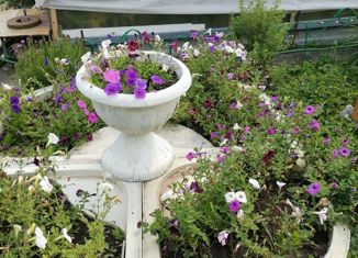 Продам дом, 135 м2, деревня Борисово