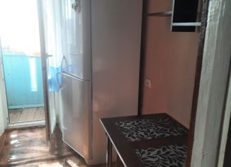 Аренда 1-ком. квартиры, 36 м2, Новый Уренгой, микрорайон Приозёрный, 12