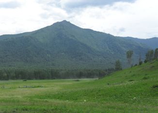 Продаю земельный участок, 1000 сот., село Катанда