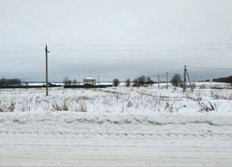 Продажа земельного участка, 10 сот., деревня Пласкинино, Центральная улица