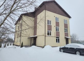 Продажа двухкомнатной квартиры, 52 м2, село Толмачево, Совхозная улица, 11А