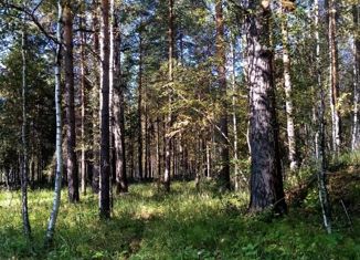 Продается земельный участок, 10 сот., Тавда, улица Дружбы, 62