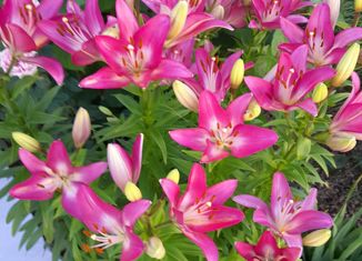 Продажа дома, 173 м2, Йошкар-Ола, Звёздный микрорайон, улица Галавтеева