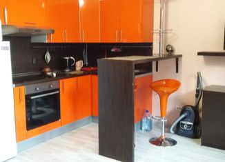 Сдается квартира студия, 25.1 м2, деревня Кудрово, Европейский проспект, 13к2